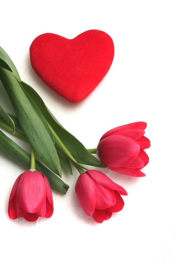 amour-coeur 327