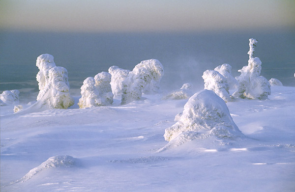 paysages d'hiver 51